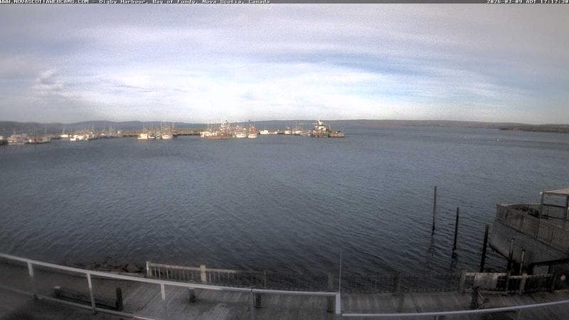 Digby Harbour