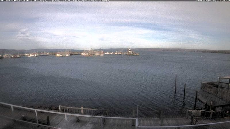 Digby Harbour