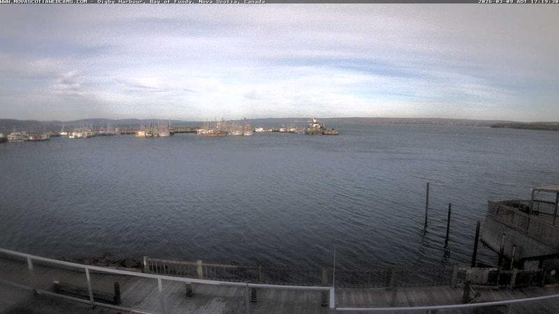 Digby Harbour