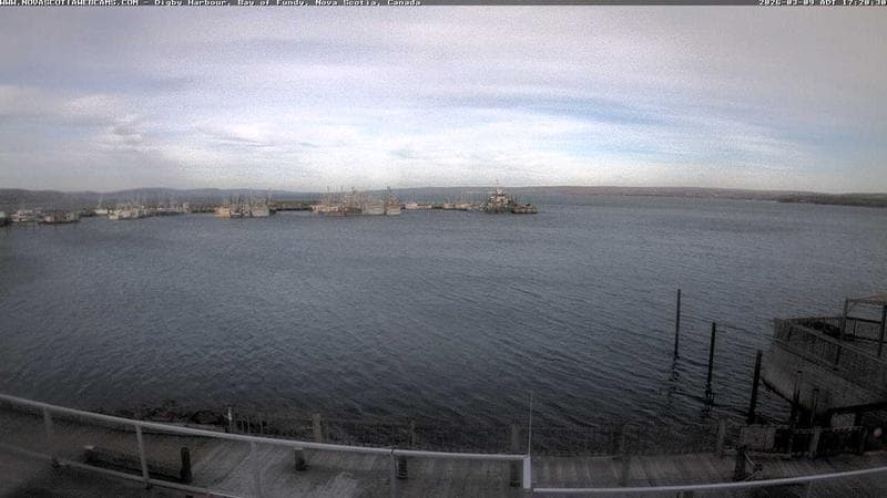 Digby Harbour
