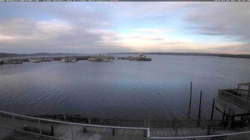 Digby Harbour