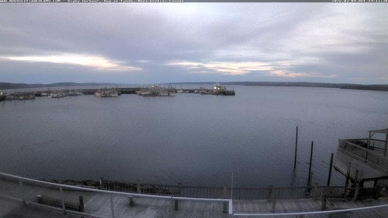 Digby Harbour