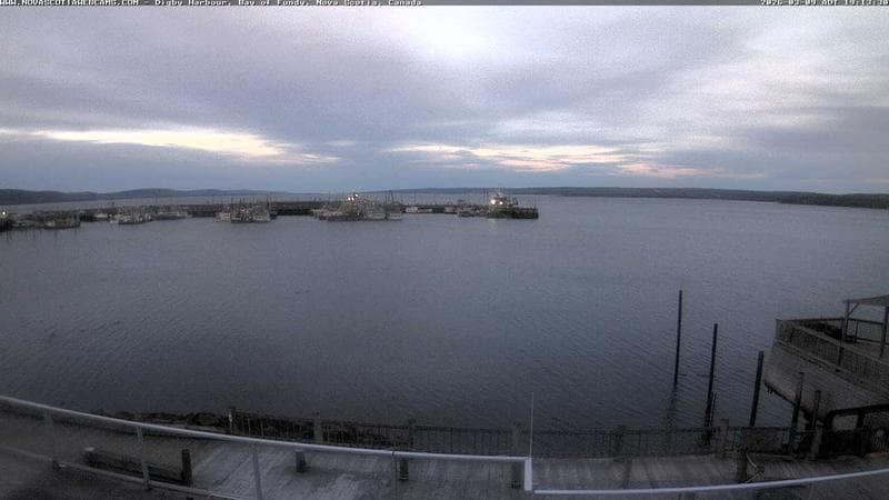 Digby Harbour
