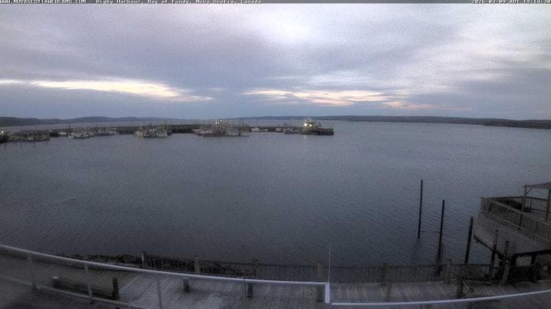 Digby Harbour