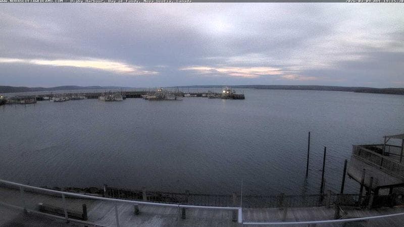 Digby Harbour