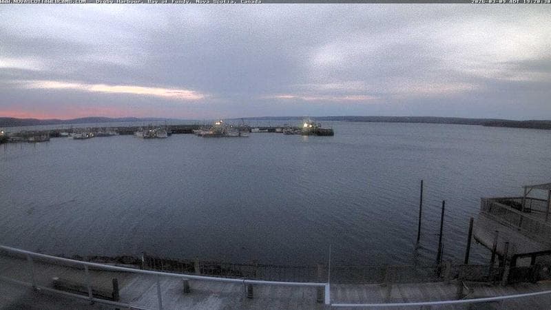 Digby Harbour
