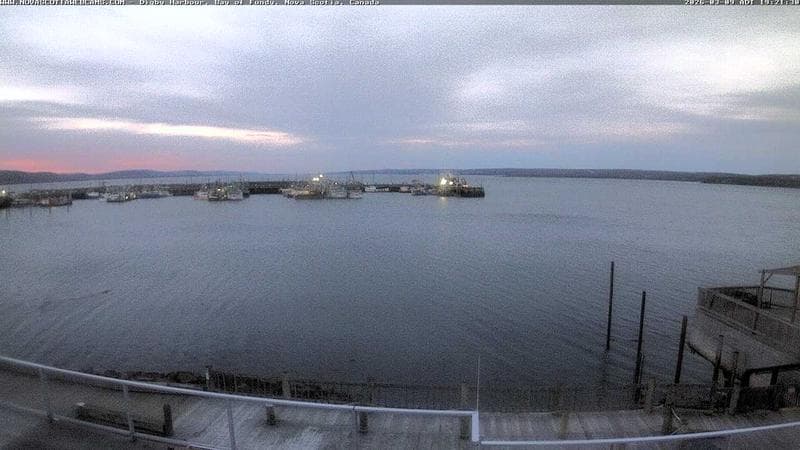 Digby Harbour