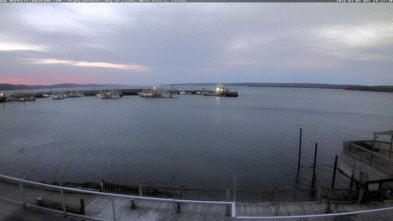 Digby Harbour