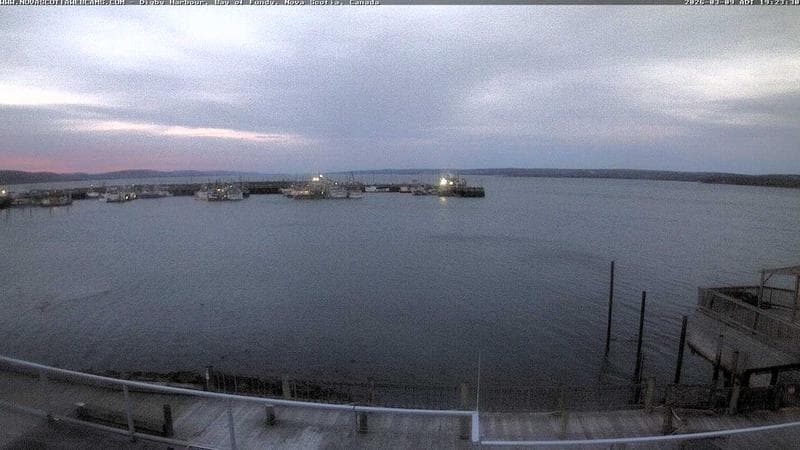 Digby Harbour