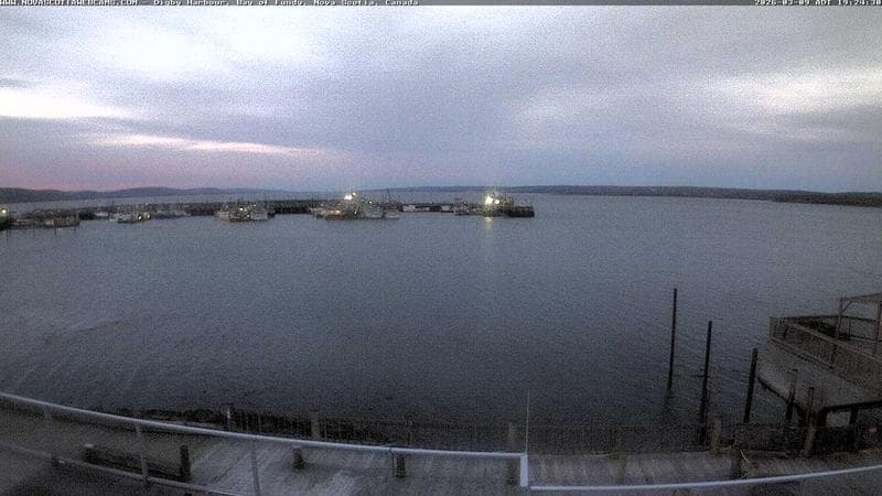 Digby Harbour