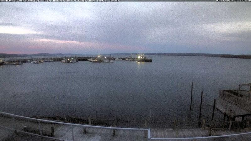 Digby Harbour