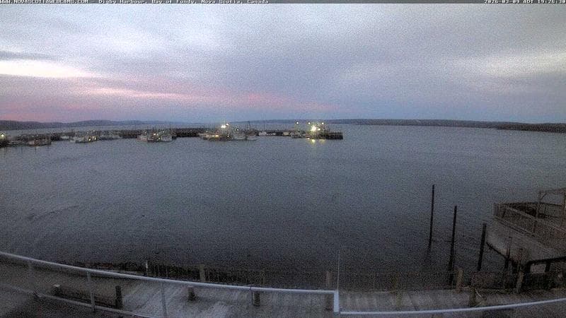 Digby Harbour