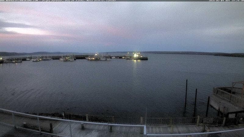Digby Harbour