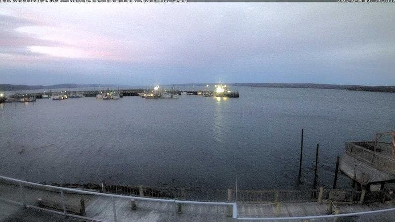 Digby Harbour
