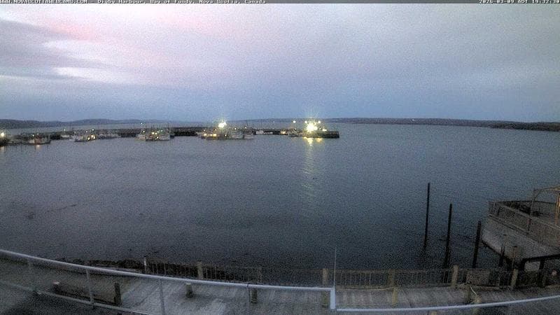 Digby Harbour