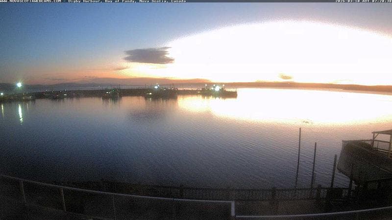 Digby Harbour