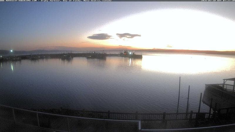 Digby Harbour