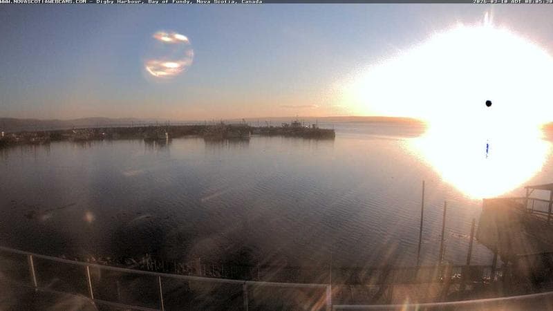 Digby Harbour