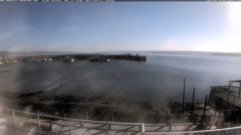 Digby Harbour