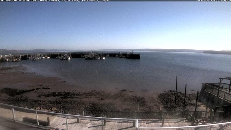 Digby Harbour