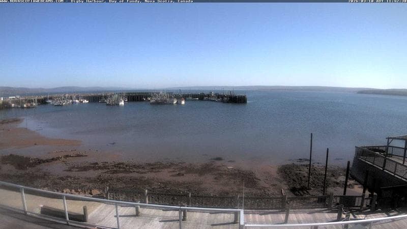 Digby Harbour