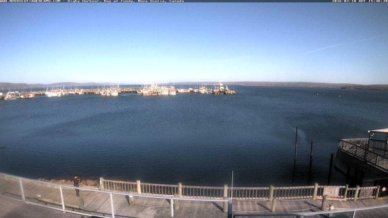 Digby Harbour