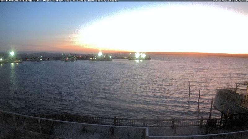 Digby Harbour