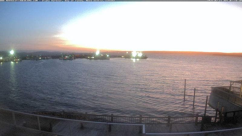 Digby Harbour