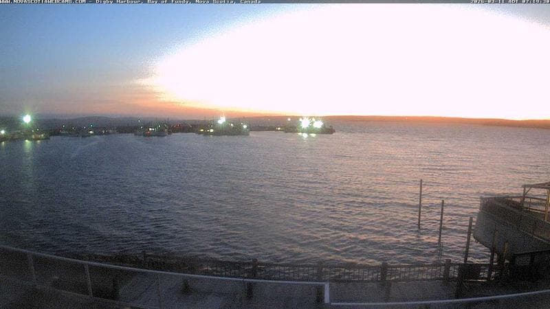 Digby Harbour