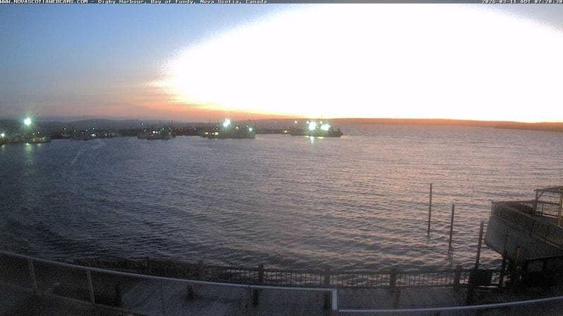 Digby Harbour