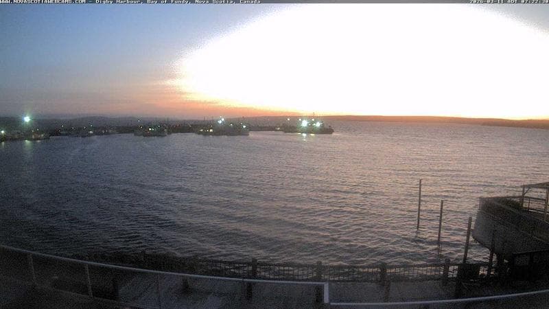 Digby Harbour