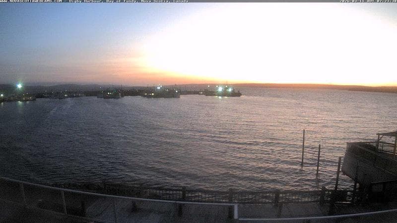 Digby Harbour