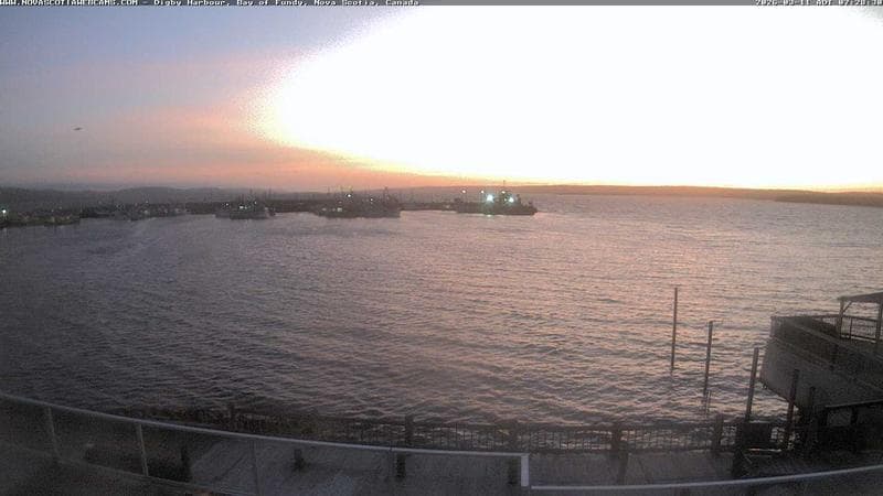 Digby Harbour