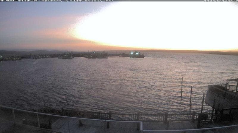 Digby Harbour