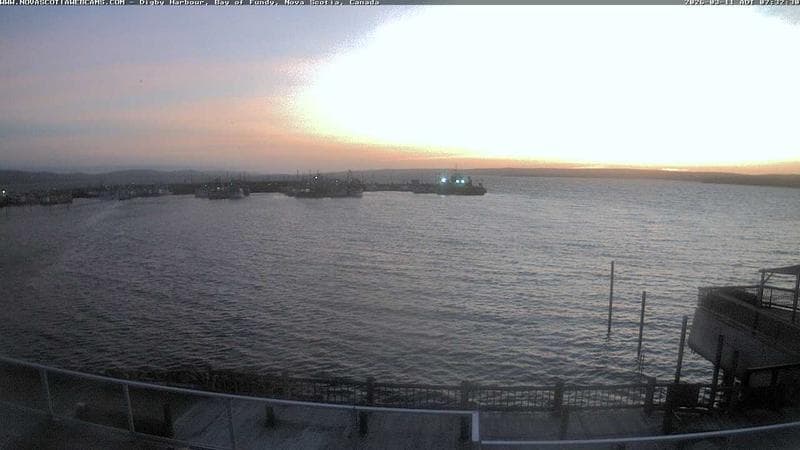 Digby Harbour