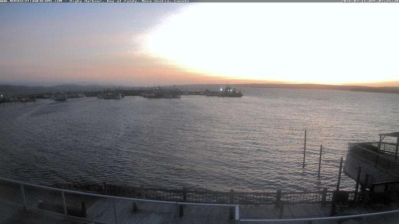 Digby Harbour