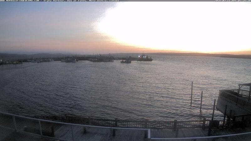 Digby Harbour