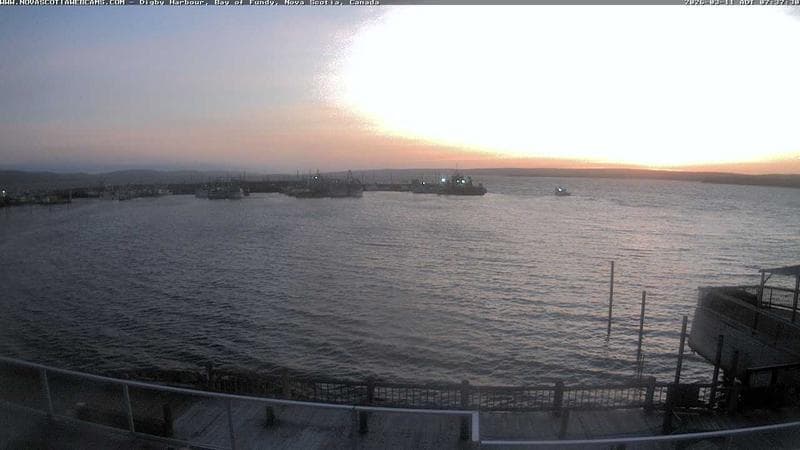Digby Harbour