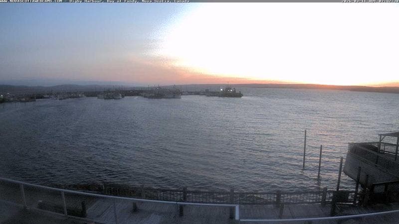 Digby Harbour