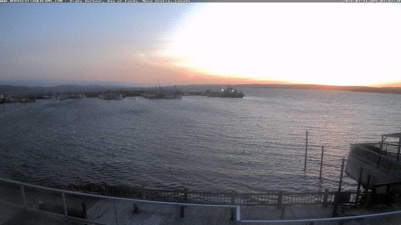 Digby Harbour