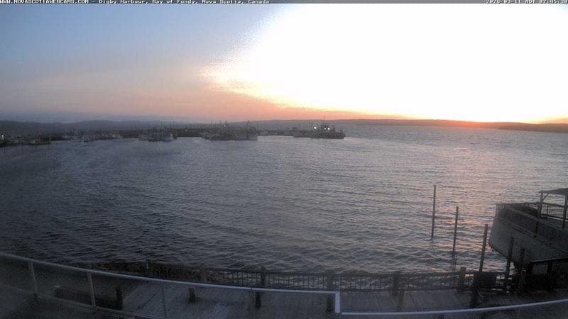 Digby Harbour