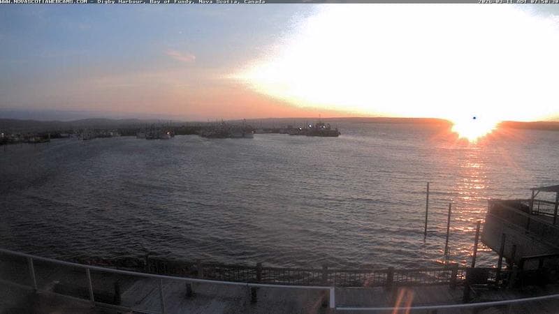 Digby Harbour