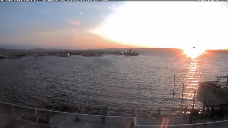 Digby Harbour