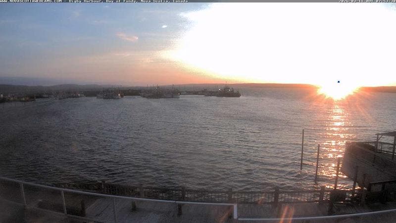 Digby Harbour