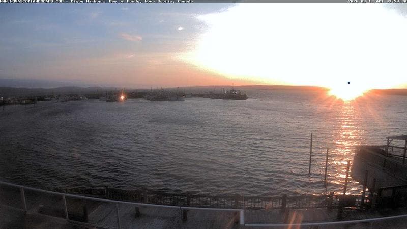 Digby Harbour