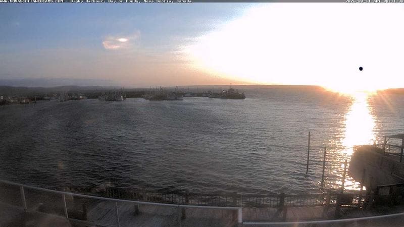 Digby Harbour