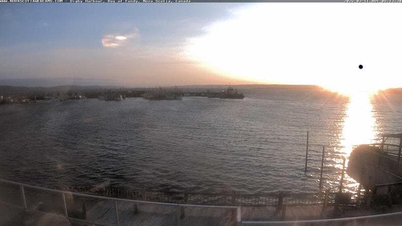Digby Harbour