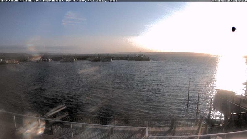 Digby Harbour