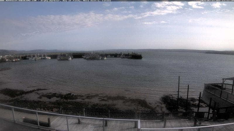 Digby Harbour