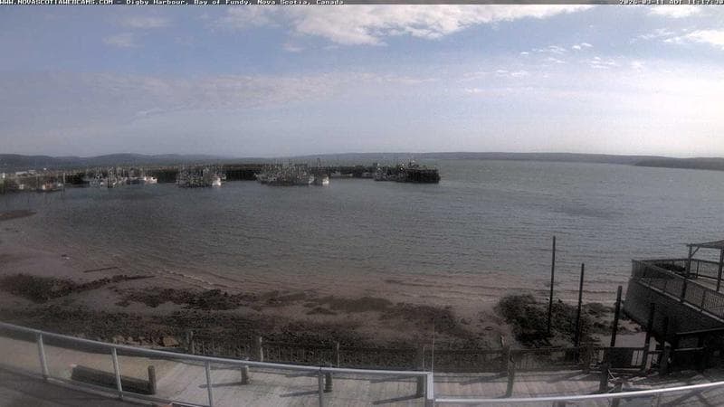 Digby Harbour